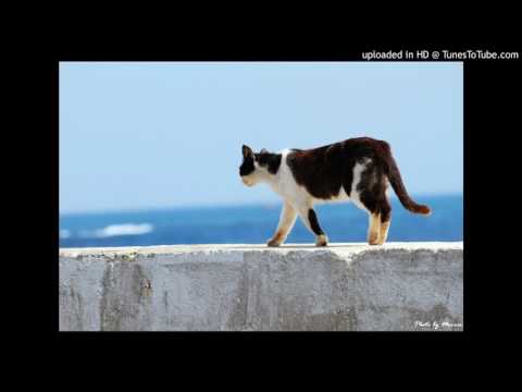 GREAT3 - Bee Rei Harakami REMIX