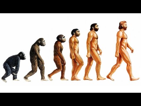 Darwin: On the Origin of Species - Summary and Analysis