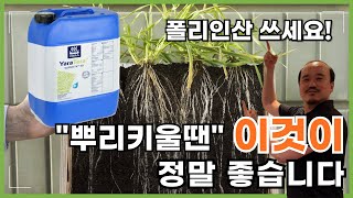 뿌리 키우는 비료 100%폴리인산 슈퍼FK30 정말 좋습니다 | 폴리인산칼륨 비료 추천, 관주비료 | 농사 …