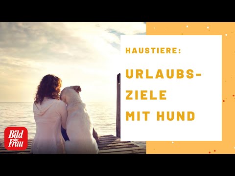 Die beliebtesten Urlaubsziele mit Hund in Deutschland | BILD der FRAU