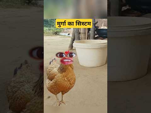 मुर्गा का सिस्टम ll #thetharpuns #funny #comedy #shilpisaroja #jabardast