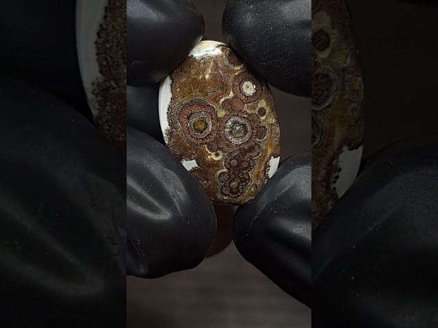 حجر عقيق داؤدي هيئة عيون طبيعي