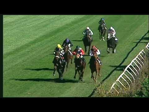 Napoli Galoppo 29/10/2022 - 1ª corsa