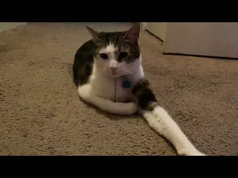 HAPPY BIRTHDAY TYANNA