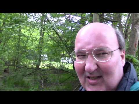 MongoTV_2617 - Gåtur - Snakker Om Penge