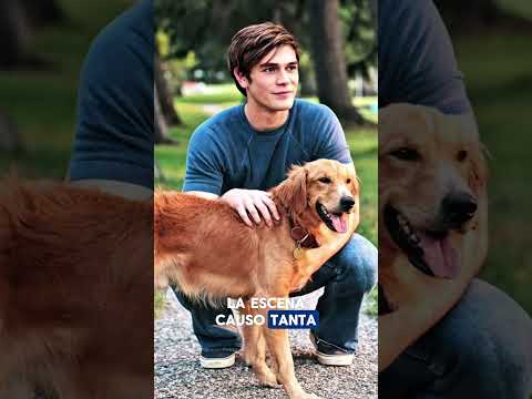 💔Una Película CONMOVEDORA Sobre Un Perro Que Cambiará Una Vida Para Siempre | Drama en español | 4K
