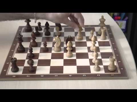 Fritz11 - Checkmate, Live Match (1-0)