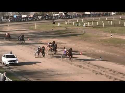 KK Bačka Subotica  08.11.2020.   Državno prvenstvo za grla od 5 godina