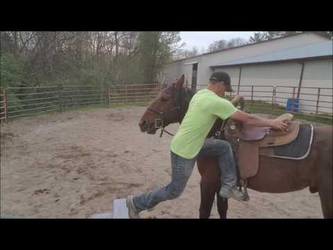 RUMOR - Day 27 - First Ride - Extreme Mustang Makeover 2017, Lexington KY