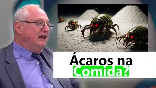 Por que você DEVE guardar a farinha na GELADEIRA!