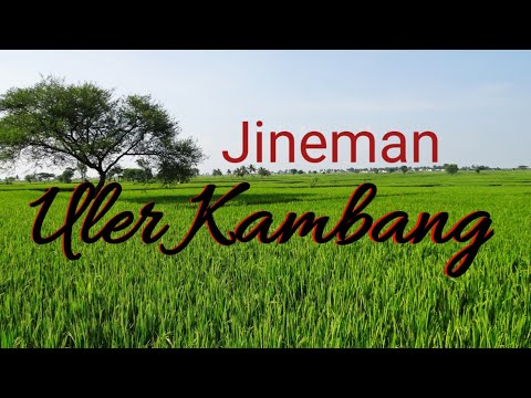 GENDING KLASIK JINEMAN ULER KAMBANG - UYON UYON NYAMLENG KAGEM RENCANG MAKARYA