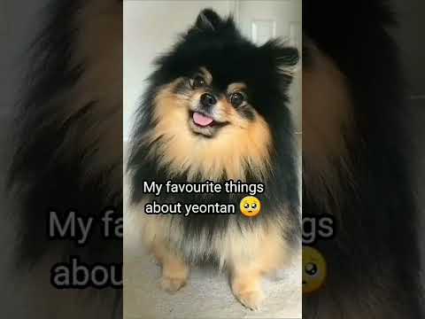 My favourite thing about YEONTAN 😊😊😊