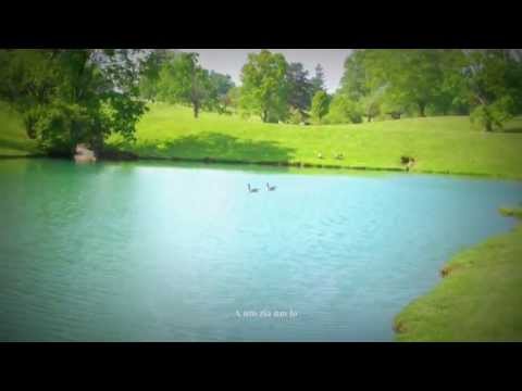 Za Ceu | Kai Lungsak Cang Ko