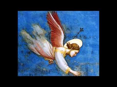 J. S. Bach – Motets (BWV 225 – 230) – R. Jacobs