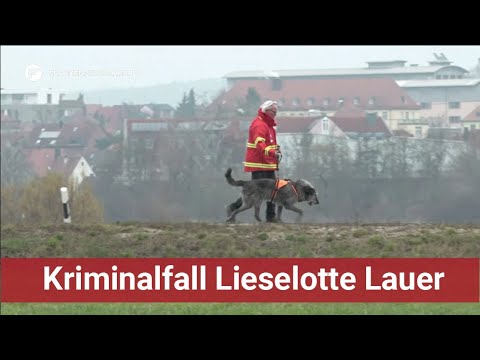 Kriminalfall Lieselotte Lauer: Führt ein Archäologiehund die Ermittler zur Vermissten?