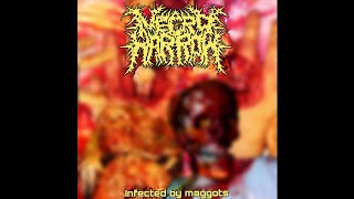 Music video thumbnail preview for NECROHARROW - INFECTED BY MAGGOTS [FULL ALBUM 2023] by Necrofucker