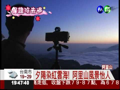 飽覽阿里山夕陽! 神秘茶園藏霧中