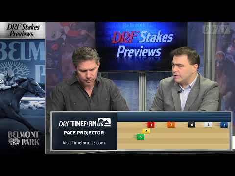 Turnback the Alarm Handicap 2017 Preview