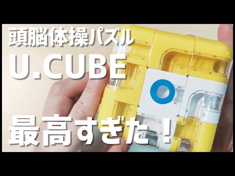 【家遊び】頭脳体操パズル・U.CUBEが面白すぎた！#うちで過ごそう