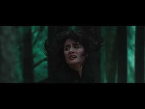 THE FOREST CHASE | SONY A7SIII CINEMATIC FILM