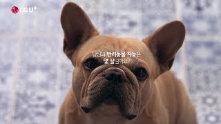 유튜브 썸네일