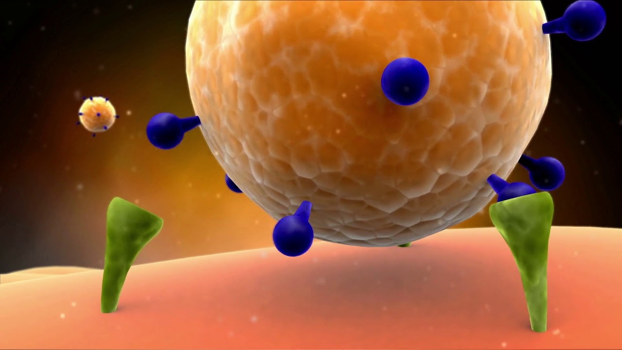 youtube video id=UW06euRm09Q