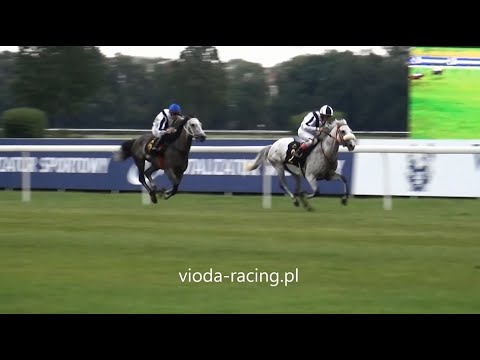 Gon. VI - 23.08.2020 - Alia Al Khalediah (Nashwan Al Khalidiah - Shamikhah Al Khalediah)