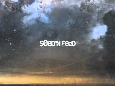 Seed'n'feed - 3 am