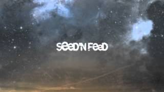Seed'n'feed - 3 am