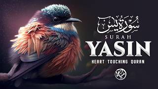 Surah Yaseen (Yasin) سورة يس | Ultimate Majestic Quran for Deep Sleep & Tranquil Nights #surahyaseen