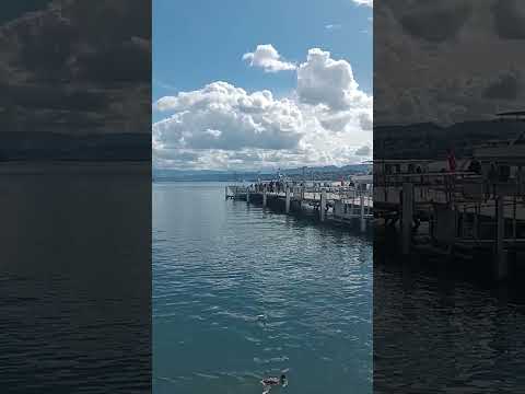 Bog vidi sve i stradanje veliko sledi, ako ne posluša narod najvećeg Proroka od Boga u ova vremena!