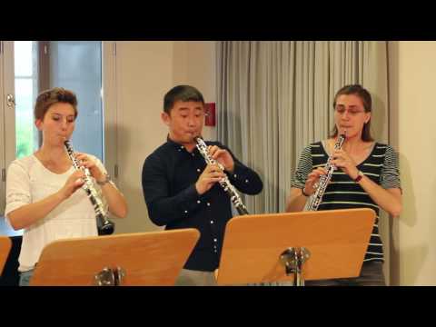 Oboenkalsse Weimar - Mozart, Concerto KV 314 for oboe & futujara