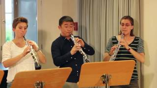 Oboenkalsse Weimar - Mozart, Concerto KV 314 for oboe & futujara
