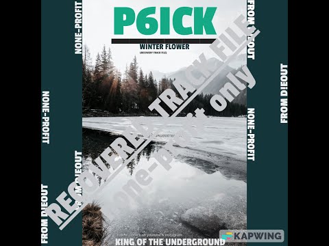 P6ICK - WINTER FLOWER FT.SUMDONG