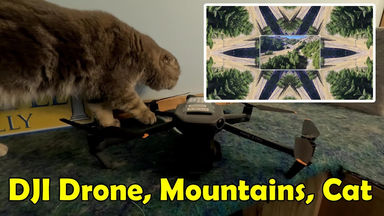 Flying in the Mountains (4k)