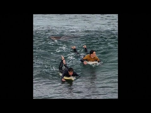 Caught on Camera: Shark bites surfer's leg in Australia