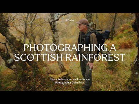 Colin Prior in Scotland’s Temperate Rainforest | Woodland Photography with the Sigma 28–45mm