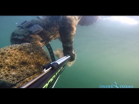 ÖNDER ÖZKAN . KALKAN AVI - 1