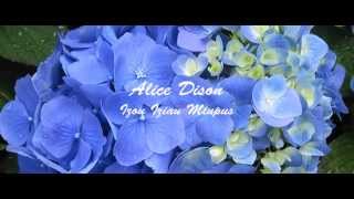 Alice Dison - Izou Iziau Miupus