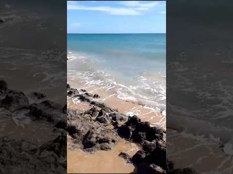 Onde o vento faz a curva! 🌬️🚢 Galinhos. O paraíso de dunas no litoral do Rio Grande do Norte! ✨ Mar.