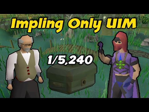 Paying For Our Mistake - Impling Only UIM (#28)