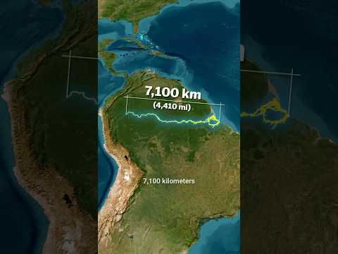 Why The Amazon River Has No Bridges? 🤯 One of the World's Longest Rivers 🌊