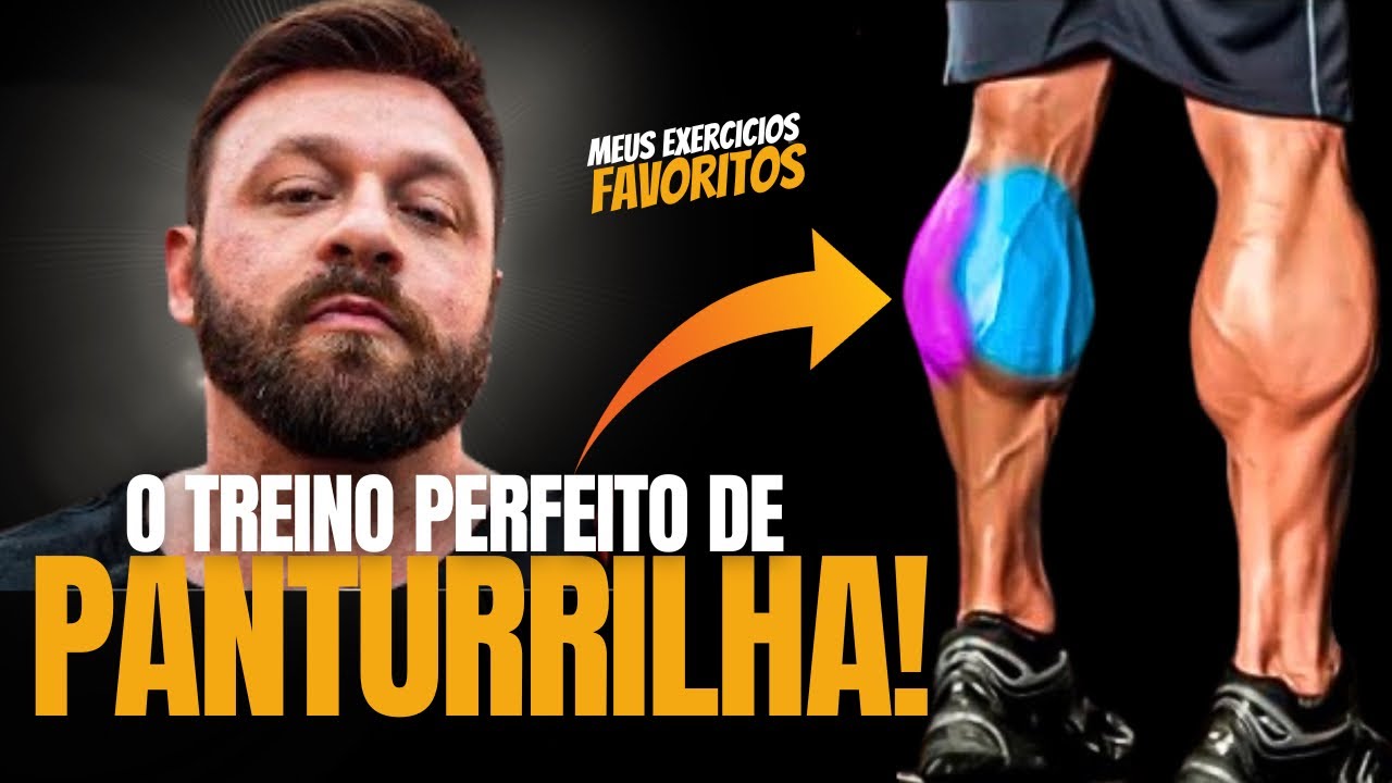 3 EXERCICIOS QUE VÃO MUDAR SUAS PANTURRILHAS *séries e repetições*