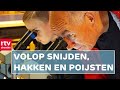 Je eigen fossiel uithouwen & een modderige Superprestige in Gieten | Drenthe Nu 3 oktober 2021