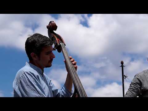 Noise Linguistix - Cactus (by Mihail Ivanov)