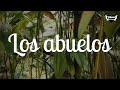 Los Abuelos Reflexión De Vida