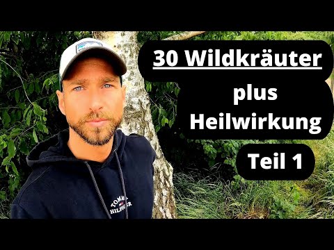 30 Wildkräuter + Heilwirkung Teil 1/3
