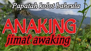 Download lagu Anaking jimat awaking •|||• Papatah kolot baheula mp3