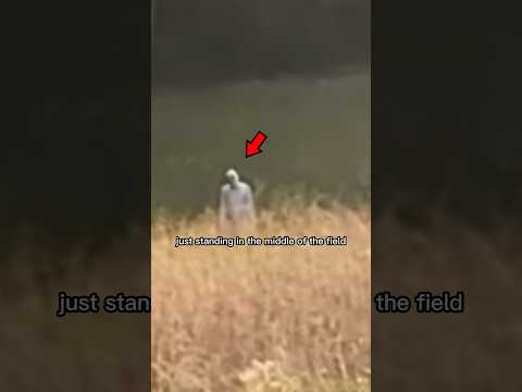 Something attacked her animals.. credit: @deesdarkadventures #skinwalker