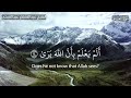 سورة العلق من روائع التلاوات  للقارئ عبدالمنعم عبدالمبدئ | The Noble Quran | surah AL-Alaq